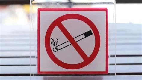 new zealand anti smoking law